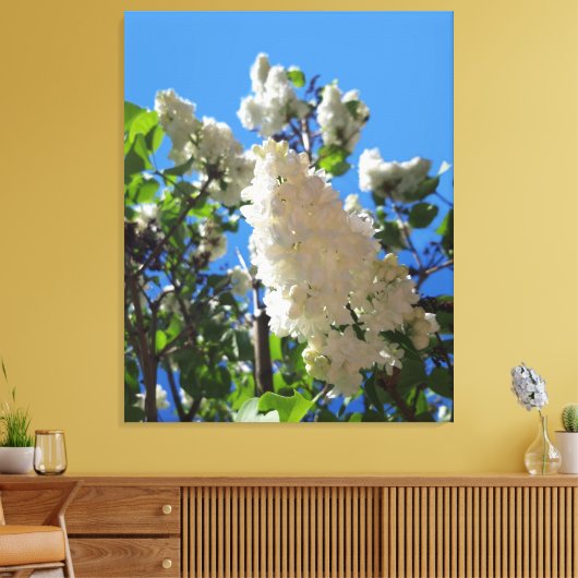 Syringa, witte Lila ventilatorstructuur Canvas Afdruk (Insitu (Woonkamer))