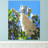 Syringa, witte Lila ventilatorstructuur Canvas Afdruk (Insitu (Houten vloer))
