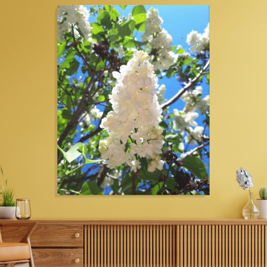 Syringa, witte Lila ventilatorstructuur Canvas Afdruk (Insitu (Woonkamer))