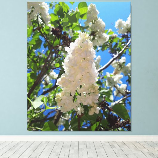 Syringa, witte Lila ventilatorstructuur Canvas Afdruk (Insitu (Houten vloer))