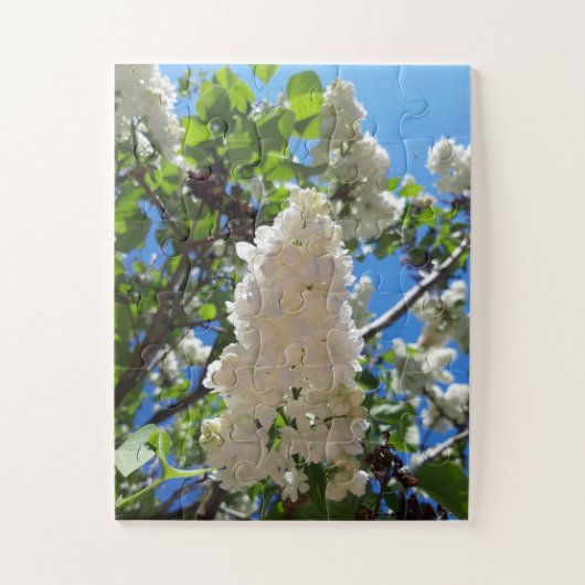 Syringa, witte Lila ventilatorstructuur Legpuzzel (Verticaal)
