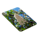 Syringa, witte Lila ventilatorstructuur Magneet (Rechterzijde)