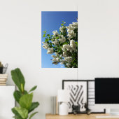 Syringa, witte Lila ventilatorstructuur Poster (Thuiskantoor)