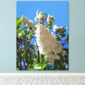 Syringa, Witte Sering Bloem Boom Canvas Afdruk (Insitu (Houten vloer))