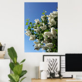 Syringa, Witte Sering Bloem Boom Poster (Thuiskantoor)
