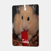 Syrische dichter Hamster - Standaardhamster - Crea Metalen Ornament (Voorkant links)