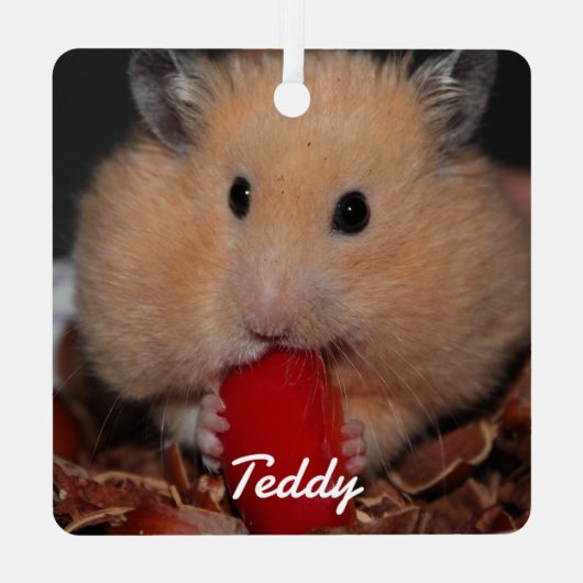 Syrische dichter Hamster - Standaardhamster - Crea Metalen Ornament (Achterkant)