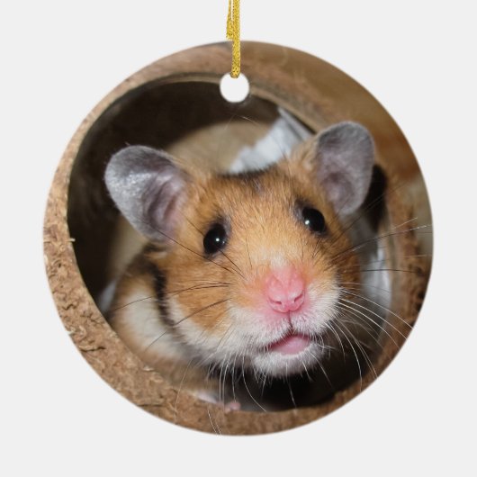 Syrische dichter Hamster - Standaardhamster - Tedd Keramisch Ornament (Achterkant)