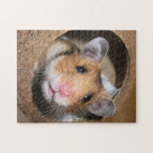 Syrische dichter Hamster - Standaardhamster - Tedd Legpuzzel (Horizontaal)
