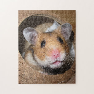 Syrische dichter Hamster - Standaardhamster - Tedd Legpuzzel