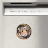 Syrische dichter Hamster - Standaardhamster - Tedd Magneet (Insitu (Vaatwasser))