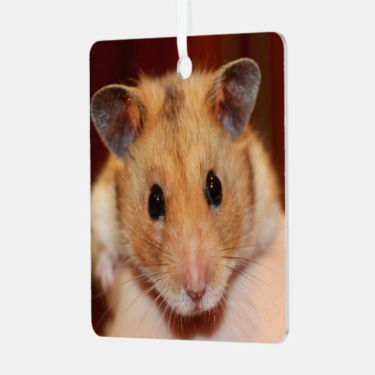 Syrische dichter Hamster - Standaardhamster - Tedd Metalen Ornament (Voorkant links)