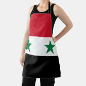 Syrische oude vlag schort (Insitu)