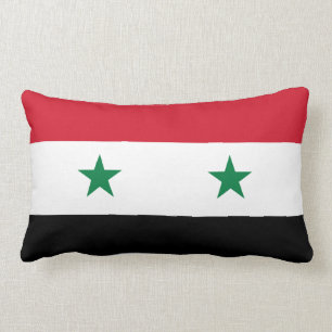 Syrische vlagkussen kussen