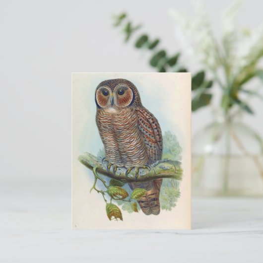 Syrnium Ocellatum (gehakt hout) Briefkaart (Staand voorkant)