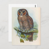 Syrnium Ocellatum (gehakt hout) Briefkaart (Voorkant / Achterkant)