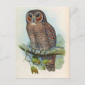 Syrnium Ocellatum (gehakt hout) Briefkaart (Voorkant)