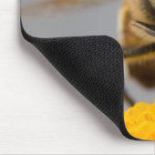 Syrphidae Muismat (Hoek)