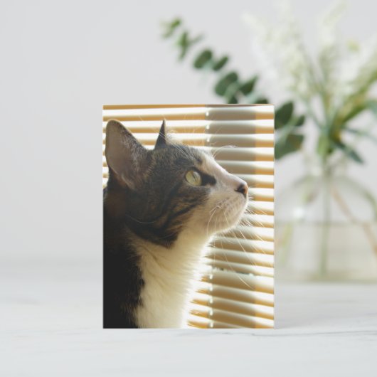 Syrus Briefkaart 001 (Staand voorkant)