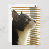 Syrus Briefkaart 001 (Voorkant / Achterkant)