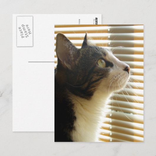 Syrus Briefkaart 001 (Voorkant / Achterkant)