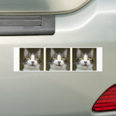 Syrus Geschokte bumpersticker 0001 (Op auto)