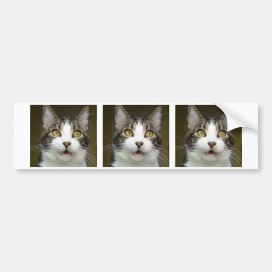 Syrus Geschokte bumpersticker 0001 (Voorkant)