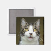 Syrus geschokte magneet 0001 (Voorkant / Achterkant)