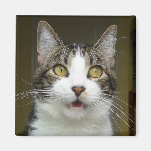 Syrus geschokte magneet 0001 (Voorkant)