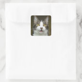 Syrus Geschokte Stickers 0001 (Tas)