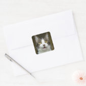 Syrus Geschokte Stickers 0001 (Envelop)