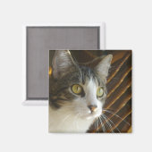 Syrus magneet 003 (Voorkant / Achterkant)