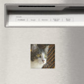 Syrus magneet 003 (Insitu (Vaatwasser))