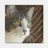 Syrus magneet 003 (Voorkant)