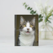 Syrus Shocked Briefkaart 0001 (Staand voorkant)