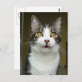 Syrus Shocked Briefkaart 0001 (Voorkant / Achterkant)