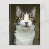 Syrus Shocked Briefkaart 0001 (Voorkant)