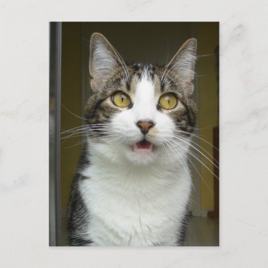 Syrus Shocked Briefkaart 0001 (Voorkant)