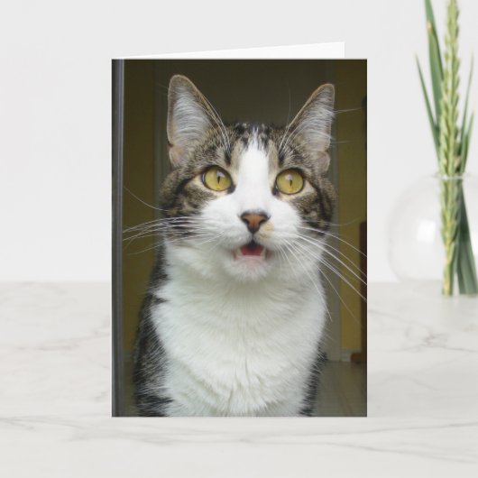 Syrus Shocked Wenskaart 0001 Kaart (Voorkant)