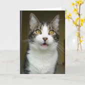 Syrus Shocked Wenskaart 0001 Kaart (Gele Bloem)