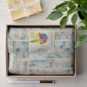 Systeemkaart van Verso American Airlines Tissuepapier (Geschenk)