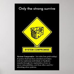 System Compromisbeveiliging Poster