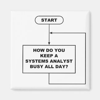 Systems Analyst Magnet