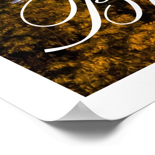 Szechenyi Chain Bridge Budapest, Hongarije Poster (Hoek)