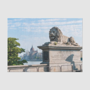 Szechenyi Chain Bridge en parlement van Boedapest Tissuepapier