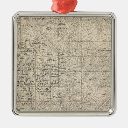 T1415S R2829E Tulare County Section Map Metalen Ornament (Voorkant)