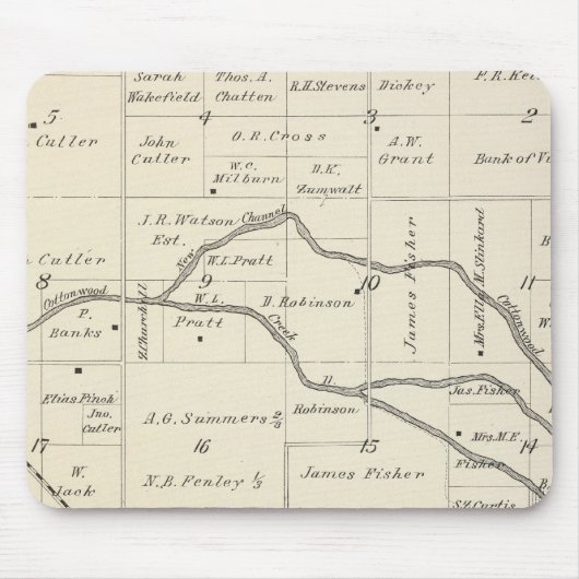 T17S R25E Tulare County Section Map Muismat (Voorkant)