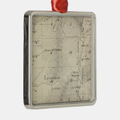 T17S R27E Tulare County Section Map Metalen Ornament (Rechts)