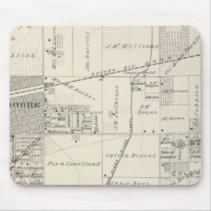 T19S R20E NE 1/4 Tulare County Section Map Muismat