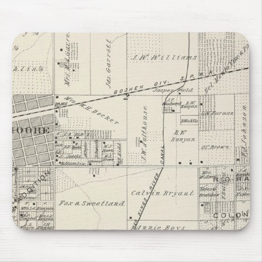 T19S R20E NE 1/4 Tulare County Section Map Muismat (Voorkant)